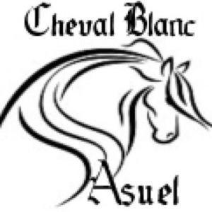 Hotel Au Cheval Blanc Asuel Exteriér fotografie